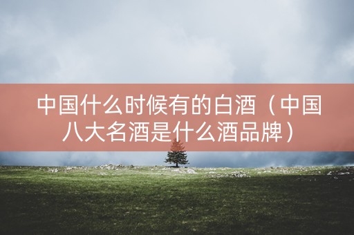 中国什么时候有的白酒（中国八大名酒是什么酒品牌）