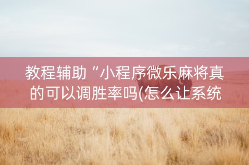 教程辅助“小程序微乐麻将真的可以调胜率吗(怎么让系统给发好牌)
