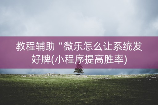 教程辅助“微乐怎么让系统发好牌(小程序提高胜率)