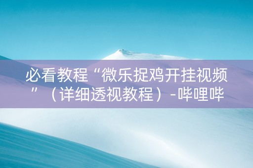 必看教程“微乐捉鸡开挂视频”（详细透视教程）-哔哩哔哩