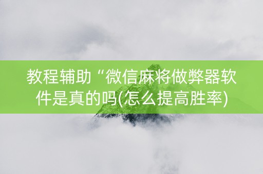 教程辅助“微信麻将做弊器软件是真的吗(怎么提高胜率)