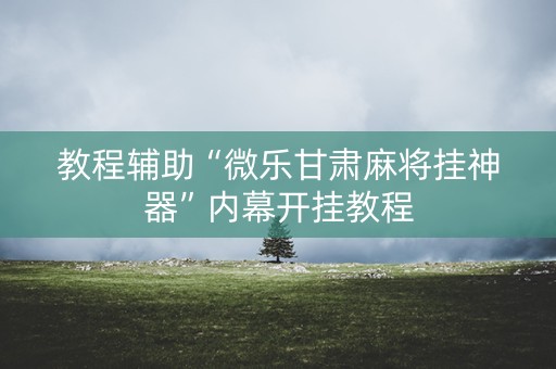 教程辅助“微乐甘肃麻将挂神器”内幕开挂教程