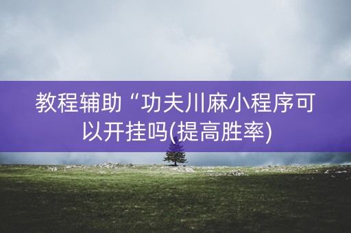 教程辅助“功夫川麻小程序可以开挂吗(提高胜率)
