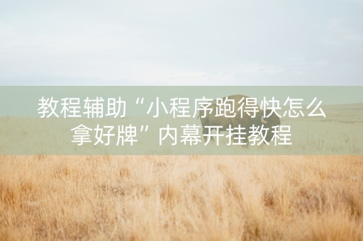 教程辅助“小程序跑得快怎么拿好牌”内幕开挂教程