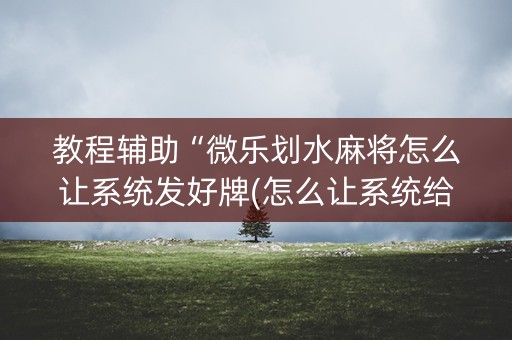 教程辅助“微乐划水麻将怎么让系统发好牌(怎么让系统给发好牌)
