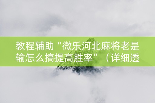 教程辅助“微乐河北麻将老是输怎么搞提高胜率”（详细透视教程）-哔哩哔哩