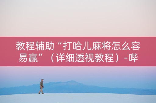 教程辅助“打哈儿麻将怎么容易赢”（详细透视教程）-哔哩哔哩