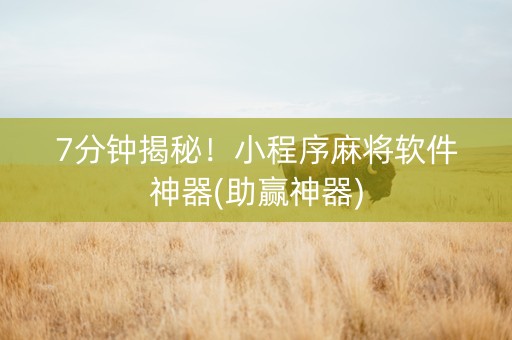 7分钟揭秘！小程序麻将软件神器(助赢神器)