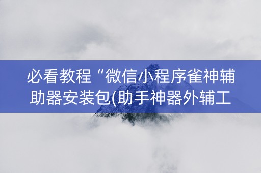 必看教程“微信小程序雀神辅助器安装包(助手神器外辅工具)
