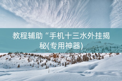 教程辅助“手机十三水外挂揭秘(专用神器)