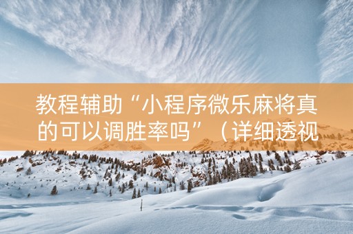 教程辅助“小程序微乐麻将真的可以调胜率吗”（详细透视教程）-哔哩哔哩
