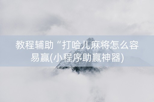 教程辅助“打哈儿麻将怎么容易赢(小程序助赢神器)