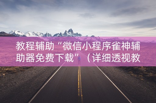教程辅助“微信小程序雀神辅助器免费下载”（详细透视教程）-哔哩哔哩