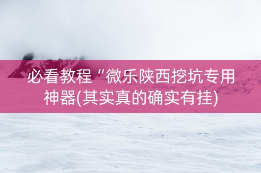 必看教程“微乐陕西挖坑专用神器(其实真的确实有挂)