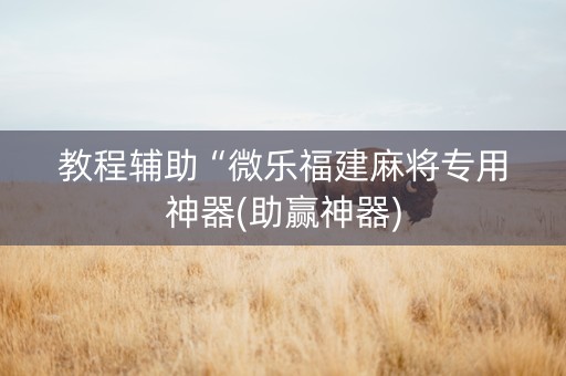 教程辅助“微乐福建麻将专用神器(助赢神器)