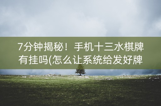 7分钟揭秘！手机十三水棋牌有挂吗(怎么让系统给发好牌)