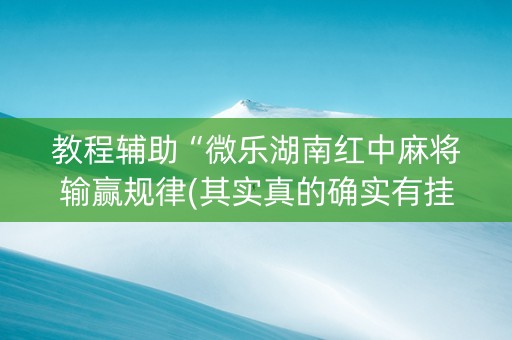 教程辅助“微乐湖南红中麻将输赢规律(其实真的确实有挂)