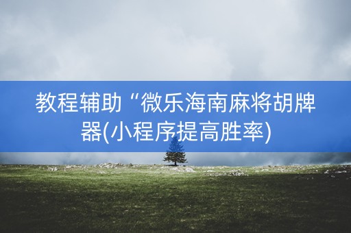 教程辅助“微乐海南麻将胡牌器(小程序提高胜率)