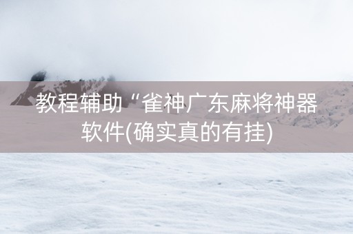 教程辅助“雀神广东麻将神器软件(确实真的有挂)