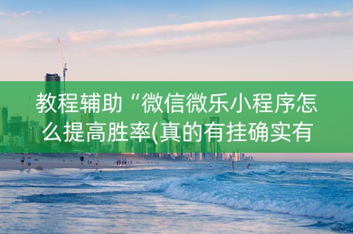 教程辅助“微信微乐小程序怎么提高胜率(真的有挂确实有挂)