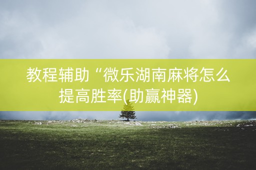 教程辅助“微乐湖南麻将怎么提高胜率(助赢神器)