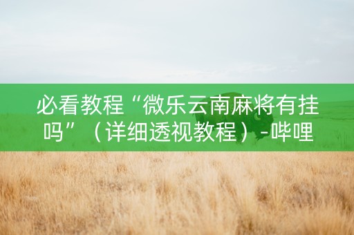必看教程“微乐云南麻将有挂吗”（详细透视教程）-哔哩哔哩
