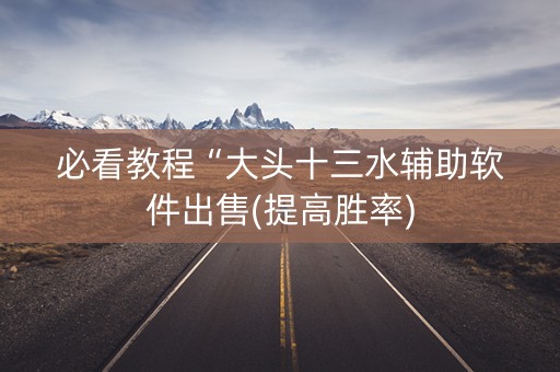 必看教程“大头十三水辅助软件出售(提高胜率)