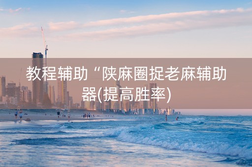 教程辅助“陕麻圈捉老麻辅助器(提高胜率)
