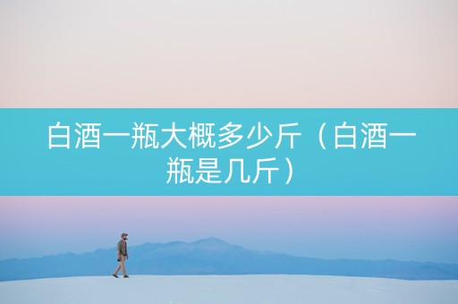 白酒一瓶大概多少斤（白酒一瓶是几斤）