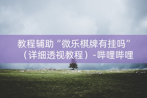 教程辅助“微乐棋牌有挂吗”（详细透视教程）-哔哩哔哩