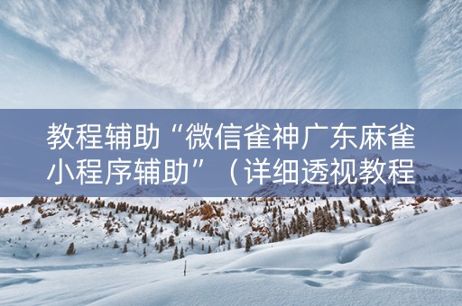 教程辅助“微信雀神广东麻雀小程序辅助”（详细透视教程）-哔哩哔哩