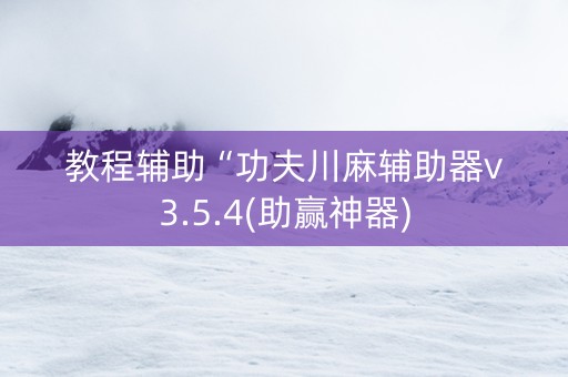 教程辅助“功夫川麻辅助器v3.5.4(助赢神器)