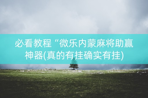 必看教程“微乐内蒙麻将助赢神器(真的有挂确实有挂)