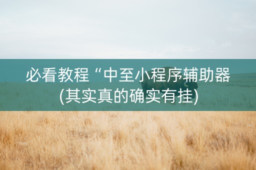 必看教程“中至小程序辅助器(其实真的确实有挂)