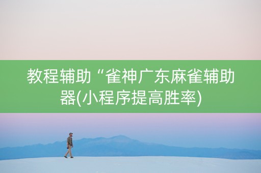 教程辅助“雀神广东麻雀辅助器(小程序提高胜率)