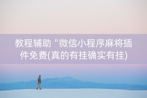 教程辅助“微信小程序麻将插件免费(真的有挂确实有挂)