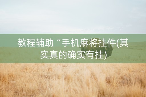教程辅助“手机麻将挂件(其实真的确实有挂)