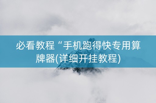 必看教程“手机跑得快专用算牌器(详细开挂教程)
