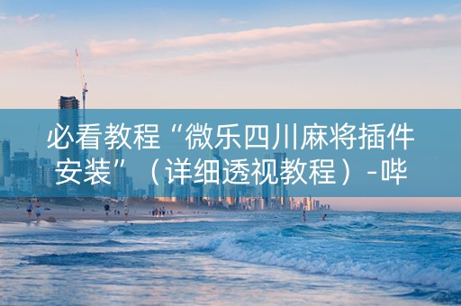 必看教程“微乐四川麻将插件安装”（详细透视教程）-哔哩哔哩