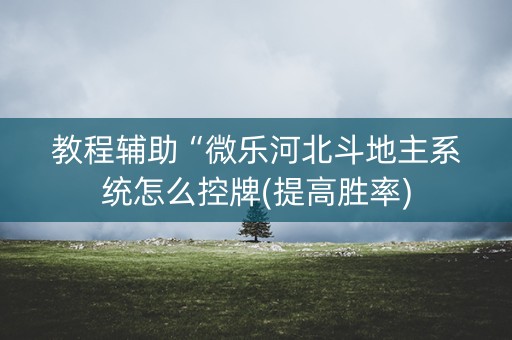 教程辅助“微乐河北斗地主系统怎么控牌(提高胜率)