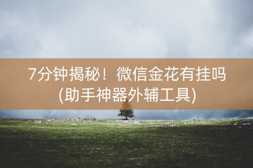 7分钟揭秘！微信金花有挂吗(助手神器外辅工具)