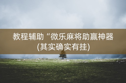 教程辅助“微乐麻将助赢神器(其实确实有挂)