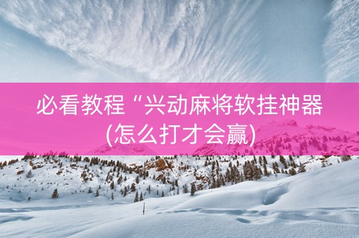 必看教程“兴动麻将软挂神器(怎么打才会赢)