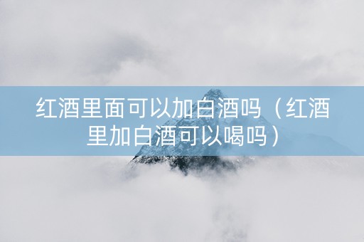 红酒里面可以加白酒吗（红酒里加白酒可以喝吗）