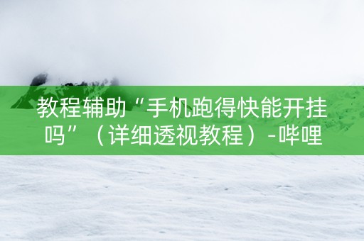 教程辅助“手机跑得快能开挂吗”（详细透视教程）-哔哩哔哩