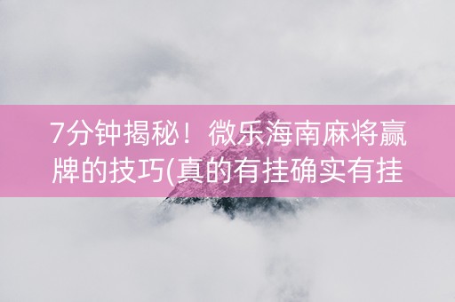 7分钟揭秘！微乐海南麻将赢牌的技巧(真的有挂确实有挂)