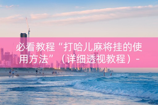 必看教程“打哈儿麻将挂的使用方法”（详细透视教程）-哔哩哔哩