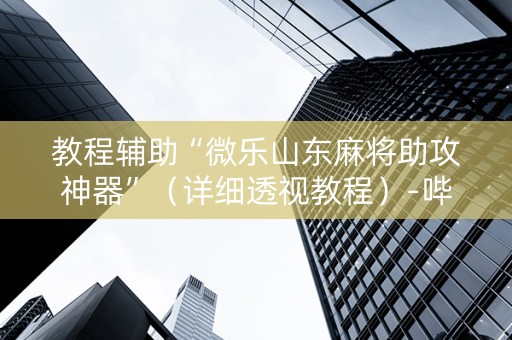 教程辅助“微乐山东麻将助攻神器”（详细透视教程）-哔哩哔哩