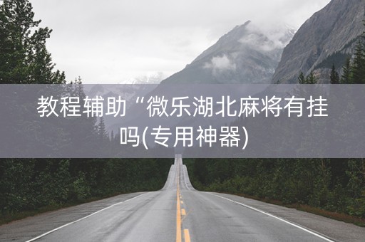 教程辅助“微乐湖北麻将有挂吗(专用神器)