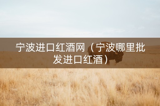 宁波进口红酒网（宁波哪里批发进口红酒）